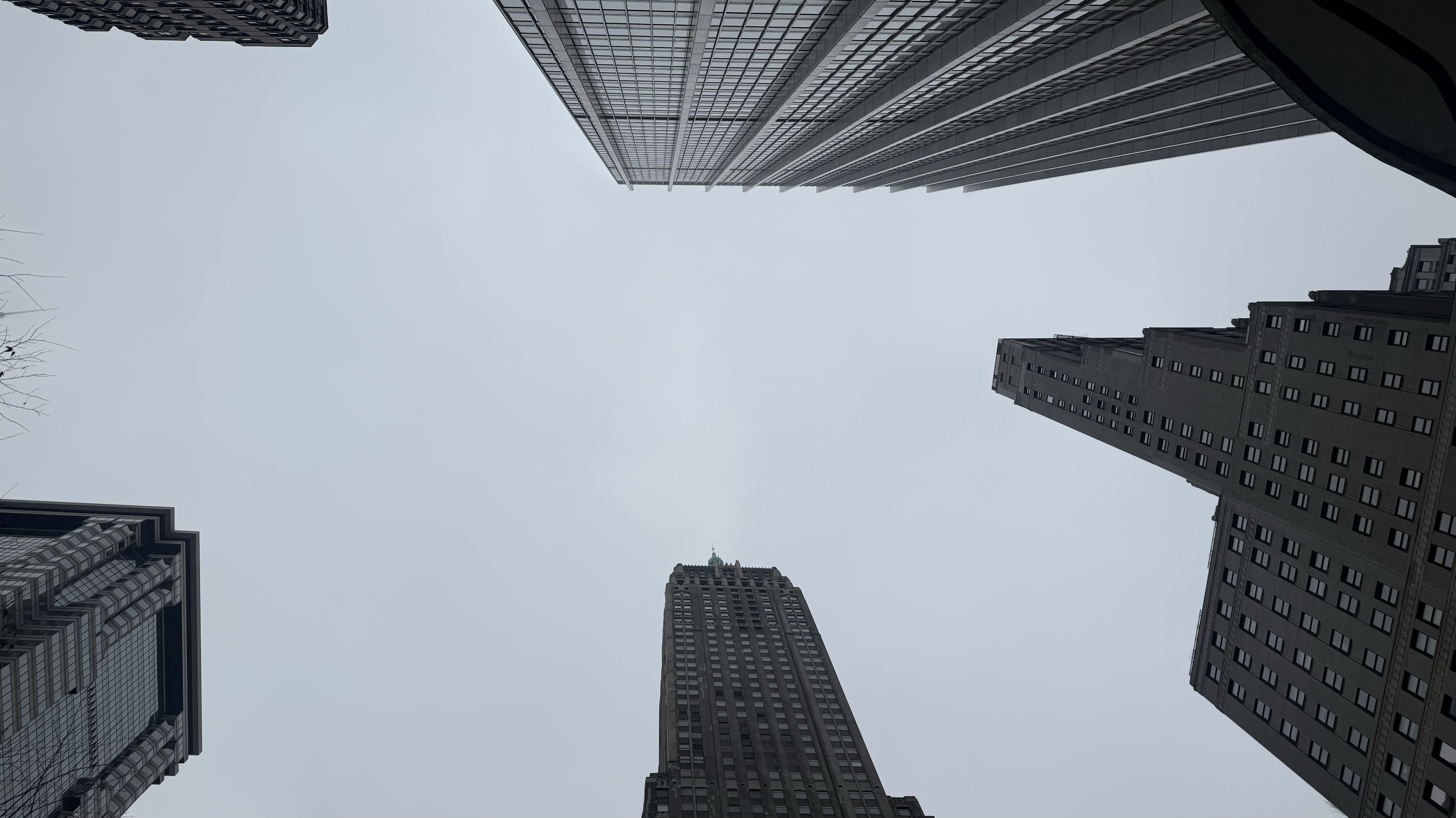 NYC FALL 25 photo